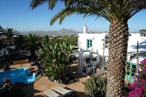 eine Palme vor einem weißen Gebäude in der Unterkunft Casa Lisboa, auf der Finca Mimosa in Teguise