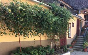 una casa con árboles y escaleras delante en Iony Apartament, en Sibiu