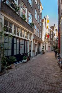 an empty street with buildings and potted plants at Here's Lucy in Amsterdam