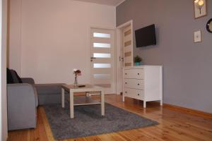 Televízia a/alebo spoločenská miestnosť v ubytovaní Apartamenty Szabla Bydgoszcz
