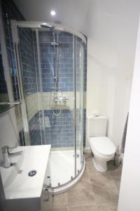 a bathroom with a shower and a toilet at The Well house in Ilfracombe