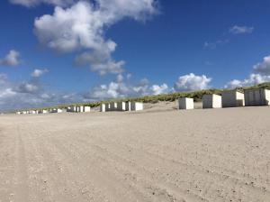 a sandy beach with white buildings in the distance at Tuynhuys in s-Gravenzande +8 photos