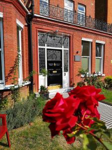 une rose rouge assise devant un bâtiment dans l'établissement Dawson House, à Londres