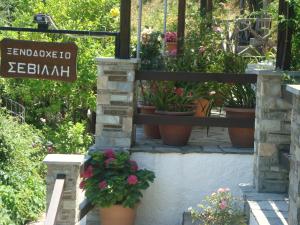 Zahrada ubytování Hotel Sevilli