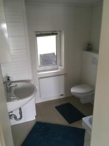 a bathroom with a sink and a toilet and a window at Ferienhaus am Schweriner See in Hohen Viecheln