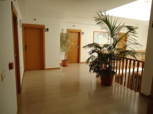 Fotografie z fotogalerie ubytování Hotel Mar Menor v destinaci Santiago de la Ribera