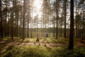 Majutusasutuse First Camp Hökensås-Tidaholm külastajad