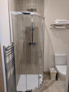 a shower stall in a bathroom with a toilet at Lion House Bed & Breakfast with Restaurant in Combe Martin