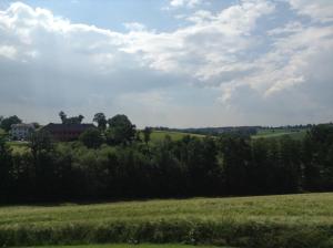 Príroda v okolí hotela
