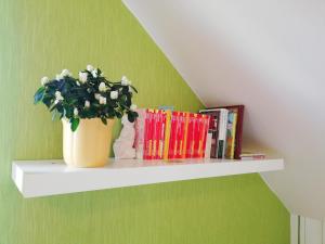 ein Regal mit Büchern und einer Topfpflanze darauf. in der Unterkunft Privatzimmer mit Aussicht in Pirna