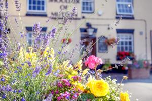 The Shoulder Of Mutton Inn