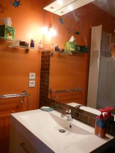 a bathroom with a sink and a mirror at Chambre d'hôtes dans Résidence in Dijon