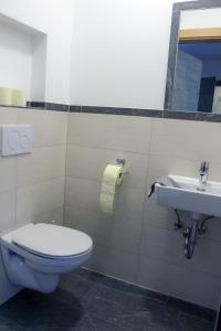 a bathroom with a toilet and a sink at Apart Alpin in Hippach +19 photos