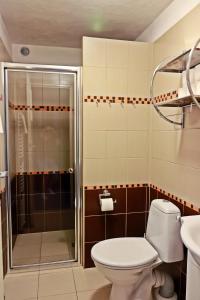 レドニツェにあるUbytování Ledňáčekのバスルーム(シャワー、トイレ、シンク付)
