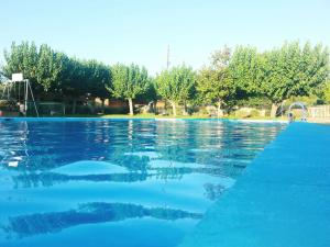 una gran piscina de agua azul con árboles en el fondo en Casa Les Roques en Báscara