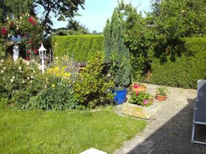 un jardin avec des fleurs et des plantes dans une cour dans l'établissement Engel Ringsheim, à Ringsheim