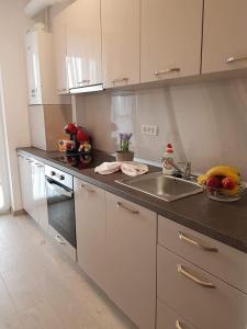 a kitchen with a sink and a counter top at Brand new apartment in Rebreanu Towers Residence in Timişoara