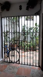 Fotografia z galérie ubytovania Lola5 v destinácii Córdoba