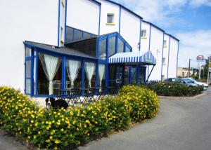 a dog sitting in front of a building with flowers at Hôtel Noctuel Blois Sud in Saint-Gervais-la-Forêt