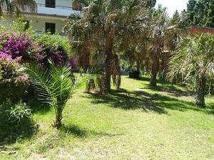 a green yard with palm trees and flowers at Villa Calipso in Furnari