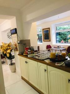 eine Küche mit einer Theke und einer Arbeitsplatte in der Unterkunft Avonpark House in Stratford-upon-Avon