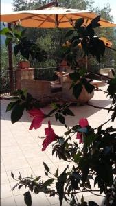 A garden outside Villa Ludoniccò