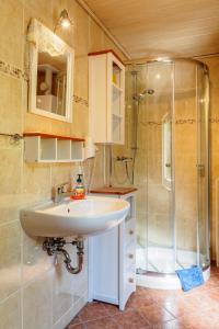 a bathroom with a sink and a shower at Gartenhaus im Ostseebad Trassenheide in Trassenheide