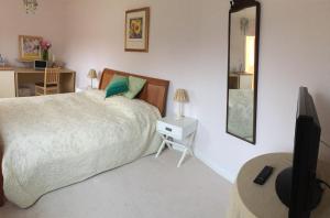 a bedroom with a bed and a tv and a mirror at The Old Dairy (Chute Forest) in Andover
