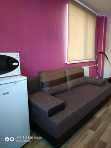 a couch in a room with a pink wall at Sparta Apartments Bastrakovi in Narva