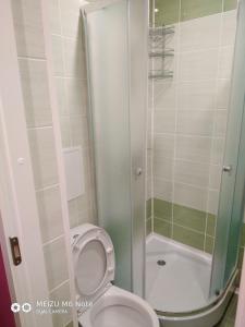 a bathroom with a toilet and a shower at Sparta Apartments Bastrakovi in Narva