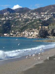 a group of birds on a beach with a city in the background at La casa di Annisa in Maiori