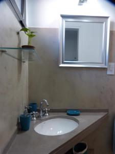 La salle de bains est pourvue d'un lavabo, d'un miroir et d'une plante. dans l'établissement Departamento Tu Hogar de Paso, à Mendoza