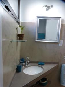 La salle de bains est pourvue d'un lavabo, d'un miroir et d'une plante. dans l'établissement Departamento Tu Hogar de Paso, à Mendoza