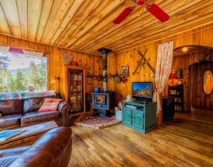 a living room with a couch and a television and a stove at Buckeye's Cabin in Leadville