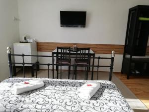 TV a/nebo společenská místnost v ubytování Penzion V Hájku