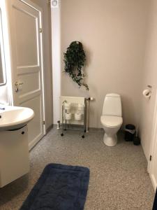 Koupelna v ubytování SJ Rooms