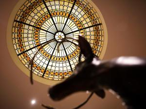a glass ceiling with a horse under it at Walwick Hall Country Estate and Spa in Hexham