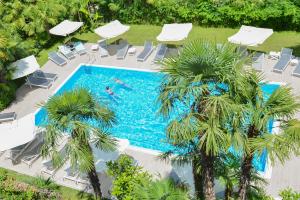 vista sul tetto di una piscina con palme di Hotel Venezia a Riva del Garda