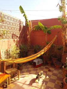 een hangmat midden op een patio met planten bij Riad Kainos in Marrakesh