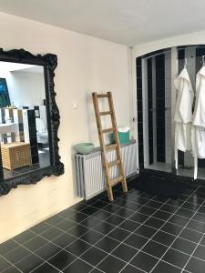 a dressing room with a mirror and a ladder at GUESTHOUSE UIT DE KUNST in Leeuwarden