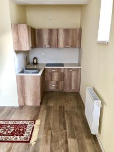 uma cozinha com armários de madeira e um lavatório em Apartmán Marcello em Trencianske Teplice