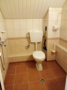 a small bathroom with a toilet and a shower at Doctor's House in Sinemorets