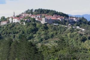 Priroda u blizini pansiona