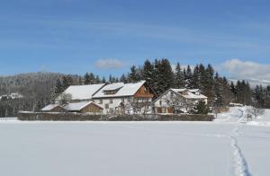 una casa en la nieve junto a un campo cubierto de nieve en Der Bauernhof Beim Bergler en Neureichenau