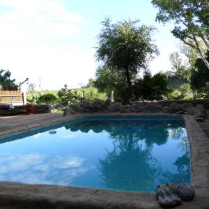 a swimming pool with blue water in a yard at Adonsonia Lodge in Grietjie Game Reserve