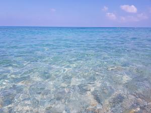 Foto dalla galleria di San Carlo - Terrazzo sul Mare con Ristorante e Pizzeria a Zambrone