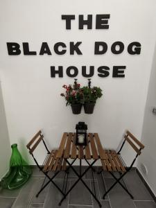 Kép The black dog house szállásáról Valenzanóban a galériában
