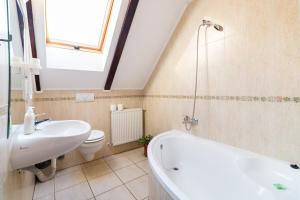 a bathroom with a sink and a tub and a toilet at Pensiunea Dor de munte in Bran