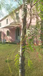 卡斯蒂利翁切洛Agriturismo Podere Gianmaria的相册照片