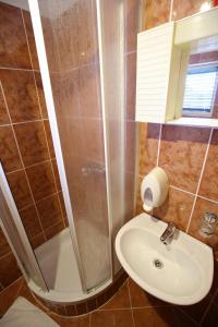 ein Bad mit einer Dusche und einem Waschbecken in der Unterkunft Apartment and rooms Roko in Zaglav
